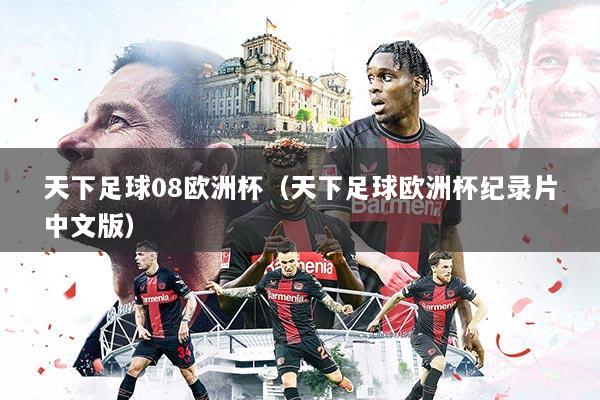 天下足球08欧洲杯（天下足球欧洲杯纪录片中文版）