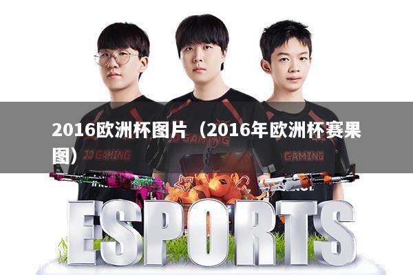 2016欧洲杯图片（2016年欧洲杯赛果图）